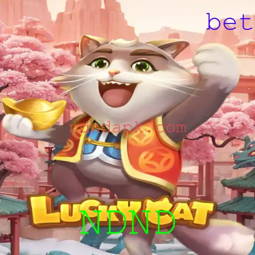 LuckyCat: Um Mergulho Interativo no Mundo do Jogo NDND