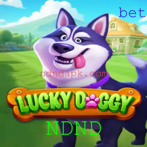 Descubra o Excitante Mundo de LuckyDoggy: Regras e Como Jogar
