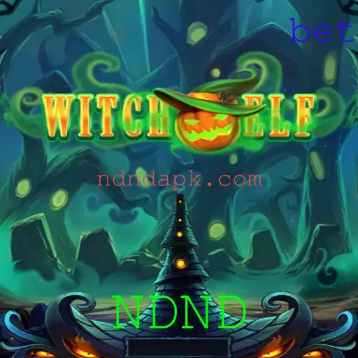 Descubra a Magia de WitchElf: Um RPG Inovador